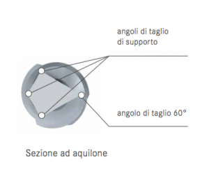 Sezione ad Aquilone per il Path Glider