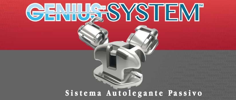 Genius System sistema autolegante